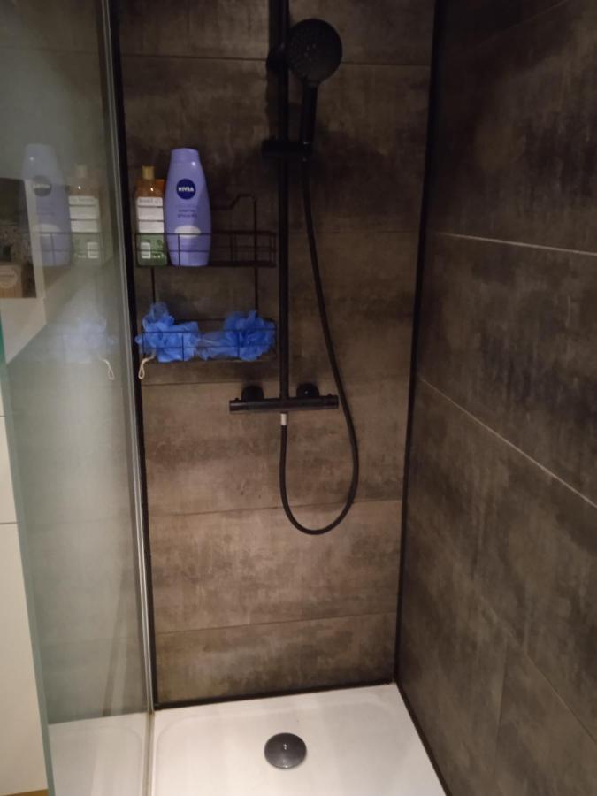 Tour Medievale De L'An Mille Apartman Loudes Kültér fotó